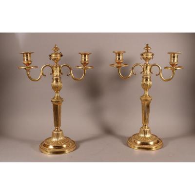 Pair Of Candelabra Dual Arm Of Light, Bronze Carved And Gilded, Louis XVI.