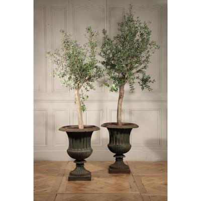 Pair Of Cast Iron Garden Vases