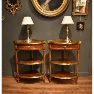 Pair Of Corner Consoles