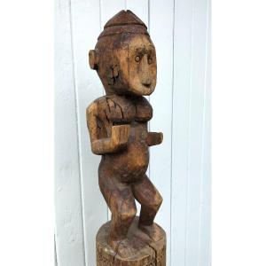 Case Post Flores Islands Indonesia