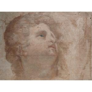 17th Century Head Study