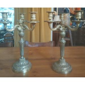 Pair Of Candelabra, Gilt Bronze, Louis XVI Style, Napoleon III Period