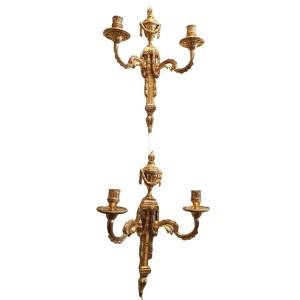 Pair Of Louis XVI Gilt Bronze Sconces