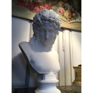 Bust Of The Greek God Eros, After The 20th Century Antiquity