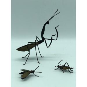 Iron And Brass Insect Series 