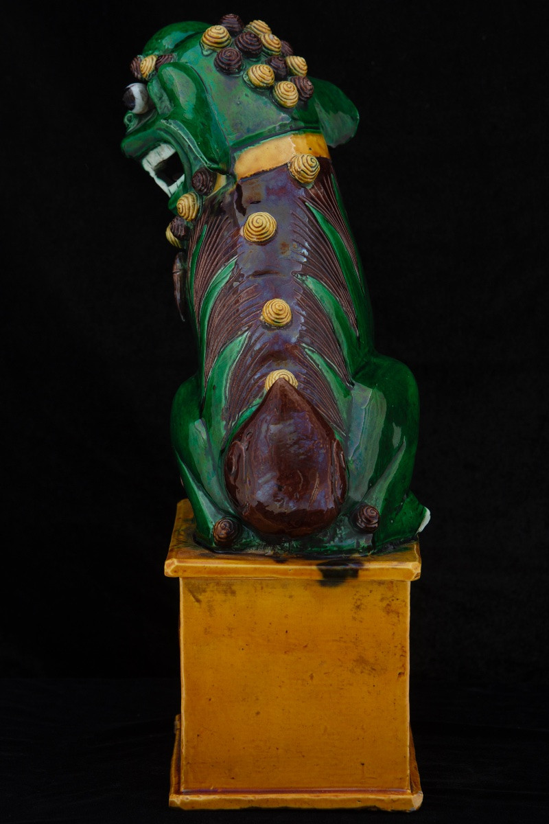 Coppia di grandi cani di Pho in ceramica invetriata Sancai, Cina, XIX secolo.-photo-5