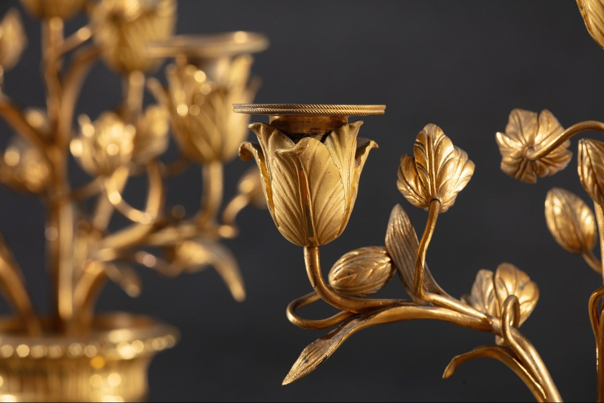 Paire De Vases De Famille Vert Chinois-photo-3