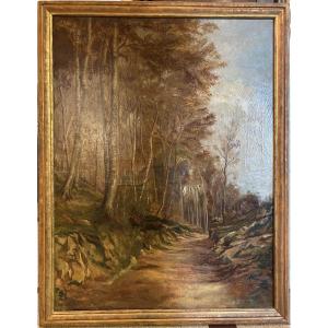 Large Oil On Canvas From The Early 20th Century Depicting A Path Along A Wood