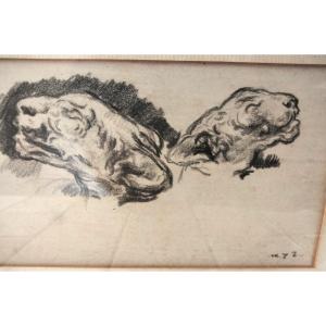 Charcoal Drawing By Ker Xavier Roussel - Study Of A Panther Or Lioness