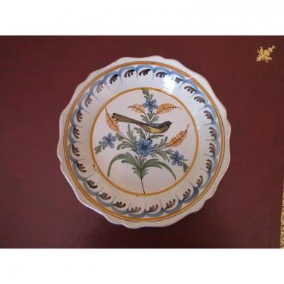 Earthenware Plate