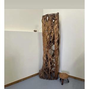 Large Dried Fig Tree Wood