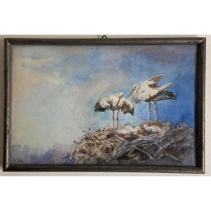 The Nest, The Storks, And The Chicks. Watercolor Signed Apg Alsace Strasbourg