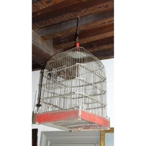 Bird Cage 1900
