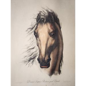 Engraving Demarteau Vernet Horse
