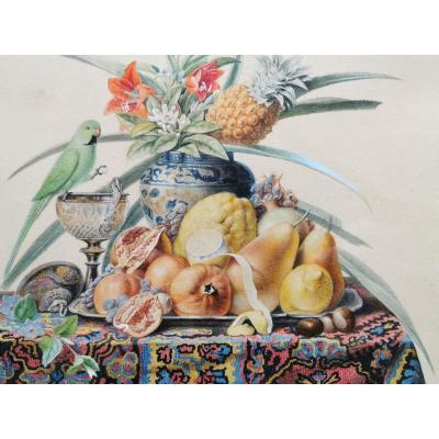 Chazal Antoine 1834 Aquarelle Nature Morte Perruche Ananas XIX ème