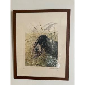 Gravure Polychrome Signé Léon Danchin Représentant Un Coker Avec Une Bécasse Dans La Gueule.