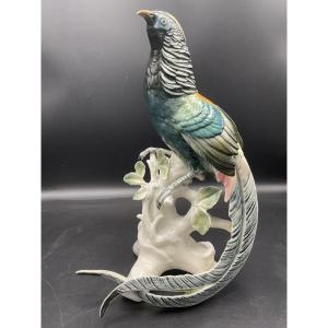 Large Lady Amhert Pheasant In Polychrome Porcelain From The Karl Ens Manufactory.