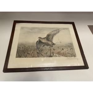 Framed Polychrome Engraving Numbered And Signed By Léon Danchin, Depicting A Woodcock In Flight