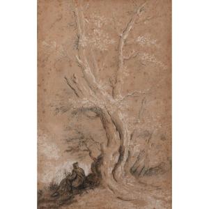 David De Marseille (marseille 1725 – 1789) - Figure At The Foot Of A Tree