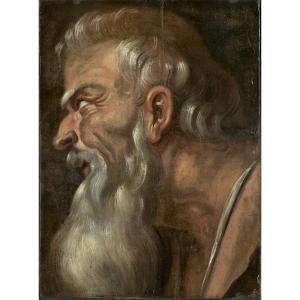 Artus Wolfaerts (1581-1641) - Study Of A Head