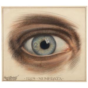 Eduard Houbolt (hof Van Delft, 1885 – The Hague, 1954) - Iris Numerata