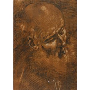 Giacomo Cavedone (1577 – 1660) - Head Of An Old Man