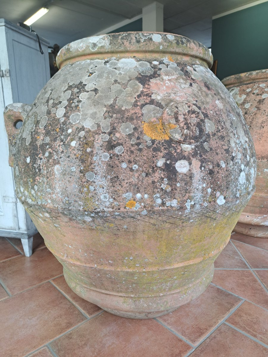 Coppia di grandi orci in terracotta dell'Impruneta-photo-2