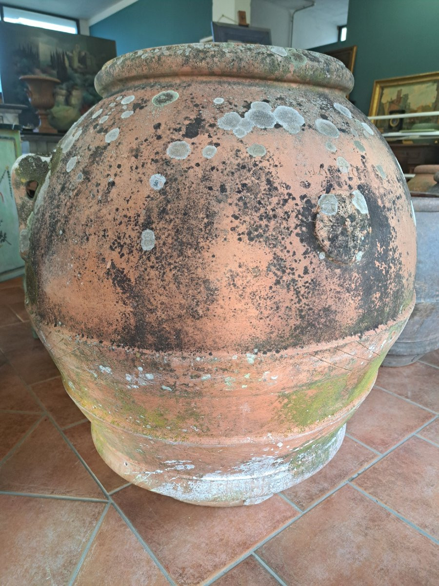 Coppia di grandi orci in terracotta dell'Impruneta-photo-3