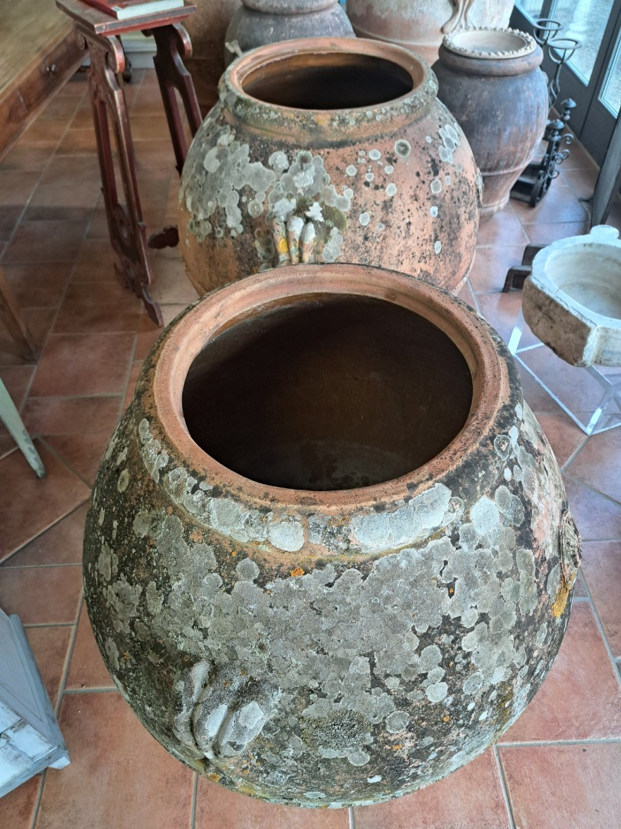 Coppia di grandi orci in terracotta dell'Impruneta-photo-4