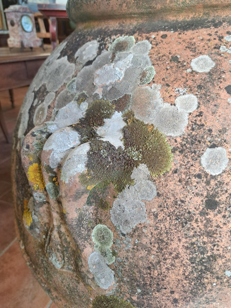 Coppia di grandi orci in terracotta dell'Impruneta-photo-3