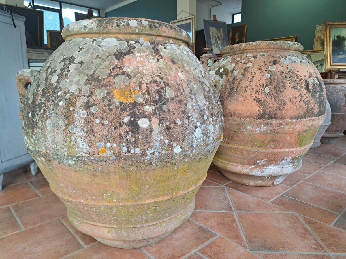 Coppia di grandi orci in terracotta dell'Impruneta-photo-4