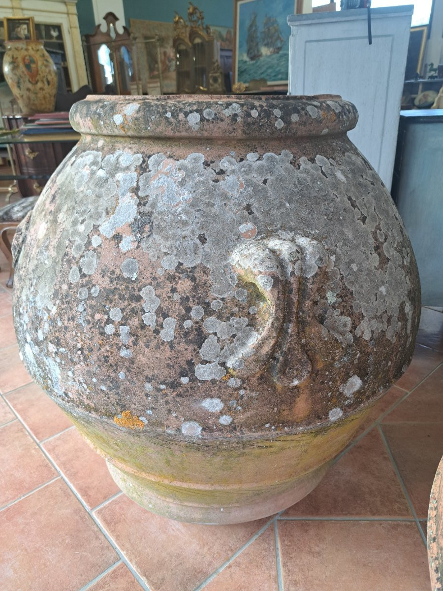 Coppia di grandi orci in terracotta dell'Impruneta-photo-6