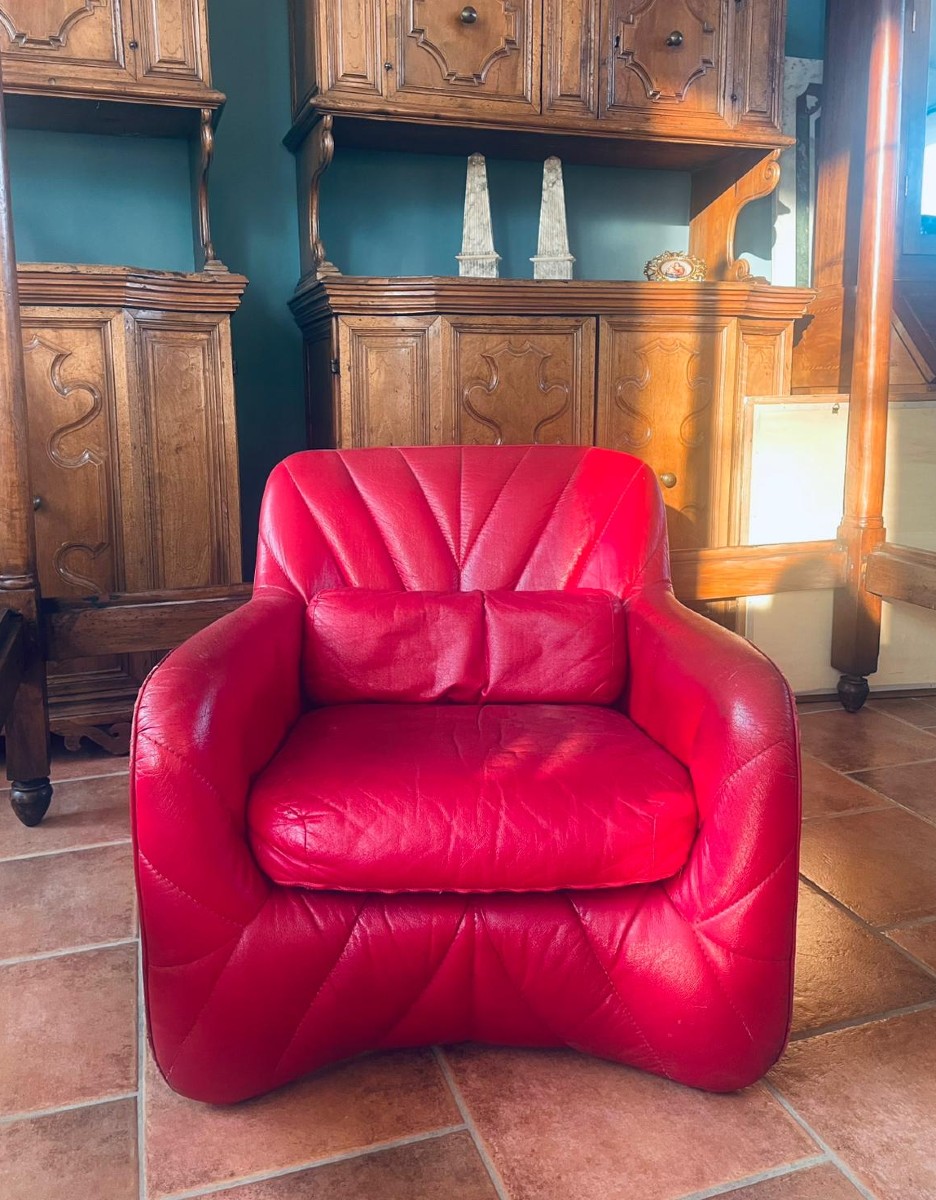 Poltrona Bicia di Carlo Bartoli per Arflex