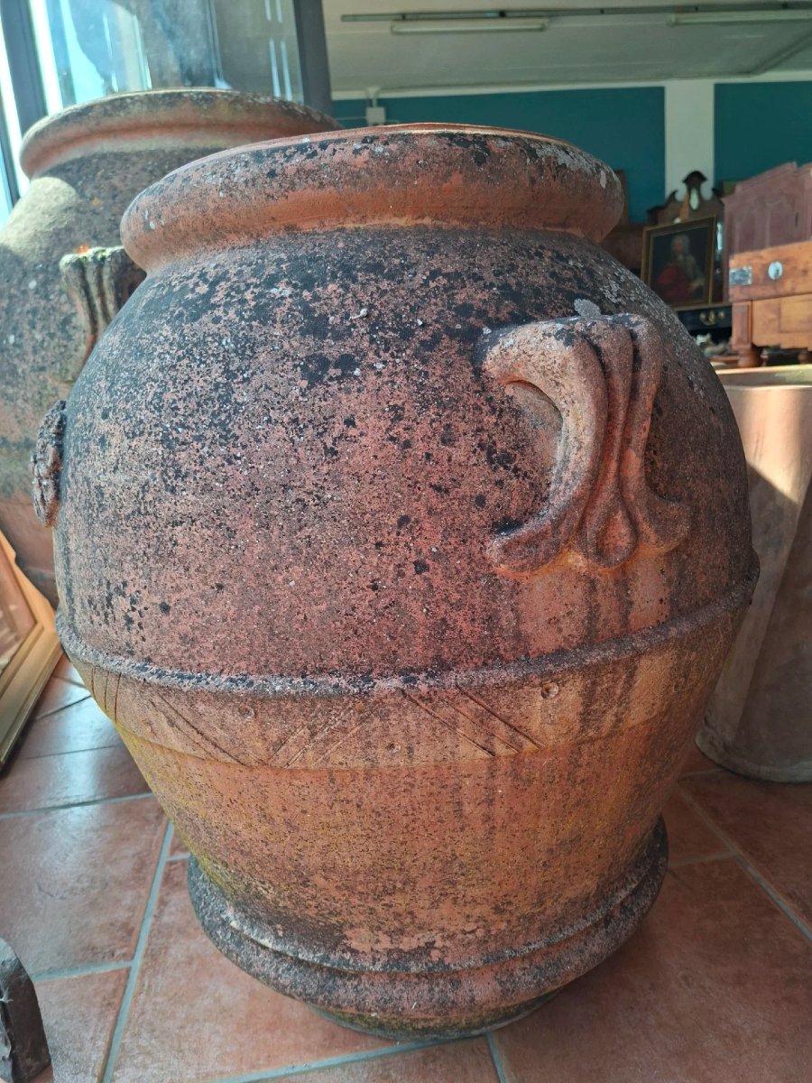Coppia di orci in terracotta dell'Impruneta-photo-4