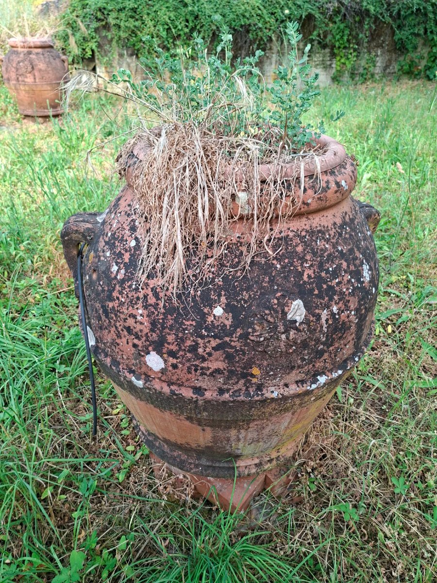 Coppia di orci in terracotta dell'Impruneta-photo-2