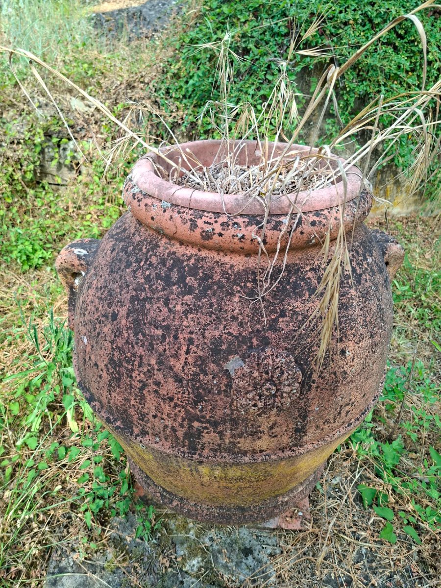 Coppia di orci in terracotta dell'Impruneta-photo-3