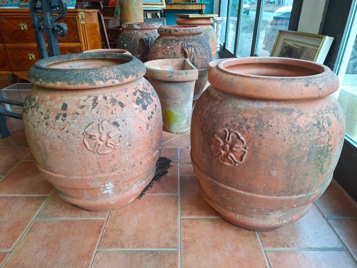 Coppia di orci in terracotta dell'Impruneta-photo-3