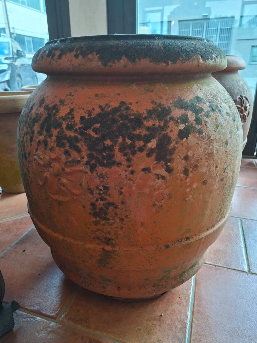 Coppia di orci in terracotta dell'Impruneta-photo-5