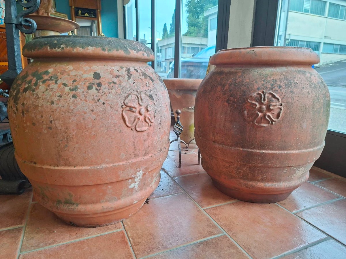 Coppia di orci in terracotta dell'Impruneta-photo-6