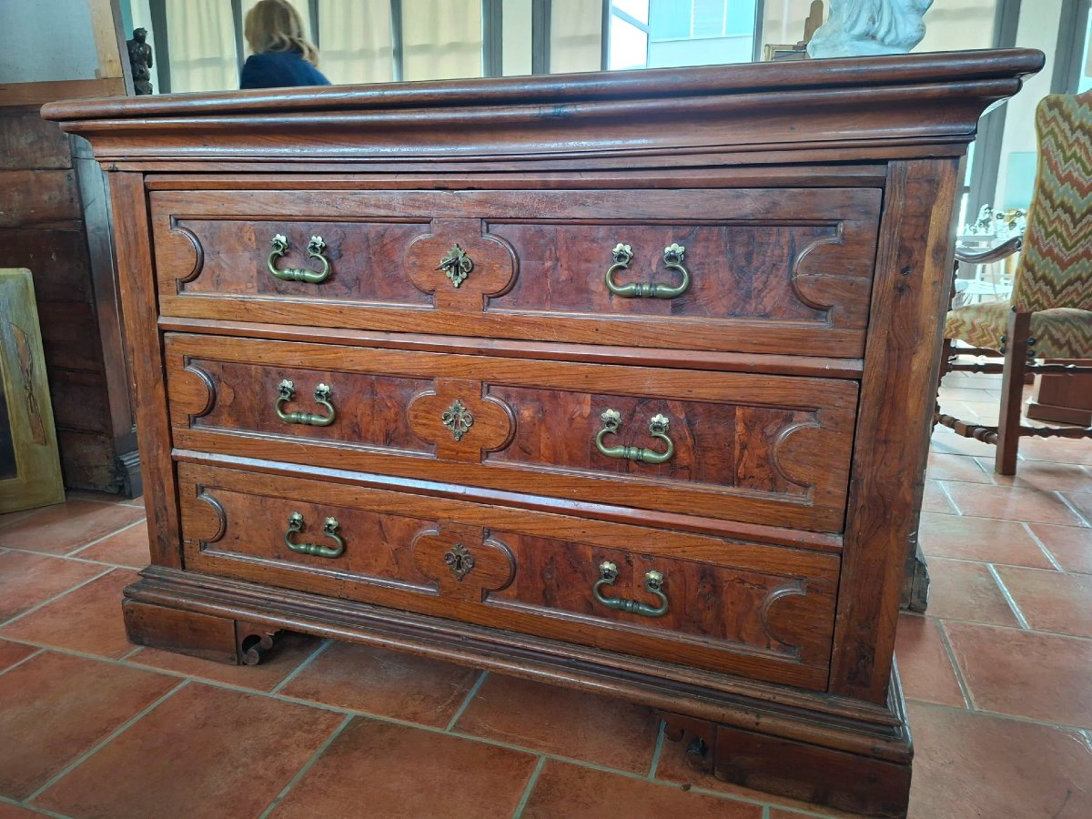 Comò canterano in noce del '600 con cassetto segreto