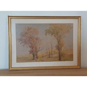 The Trees - 20th Century