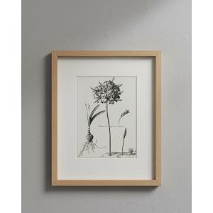 Pair Of Portrait Lithographs