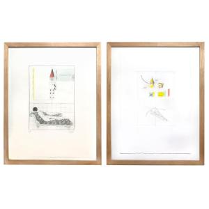 Massimo De Stefani (1918-1996), Superfly" And "mekano", Hand-colored Engravings