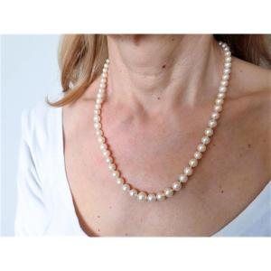 Pearl Necklace With 18ct White Gold Clasp, Rubies And Diamonds