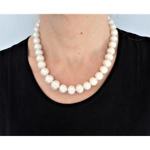 China Cultured Pearl Necklace With Silver Clasp
