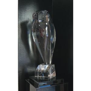 Robert Rigot's Large Owl.