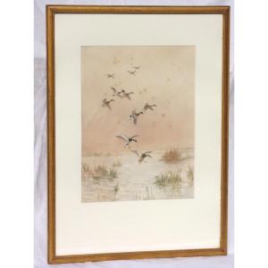 Watercolor Signed By Roland Green Ducks In The Marshes, 20th Century