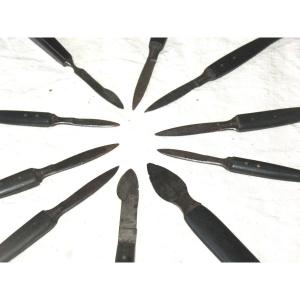 Scalpels And Scalpels Collection Medical Surgical Tools From The Early 20th Century