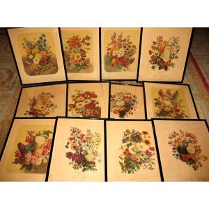 Lithographed Plates Album Vilmorin Bouquets Of Flowers Painted By Elisa Champin 12 Plates