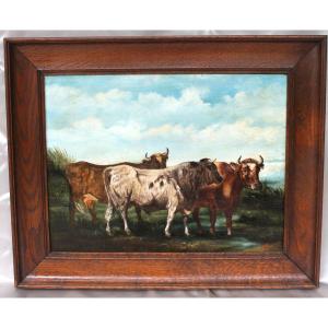 Oil On Canvas Cows In A Normandy Field, Early 20th Century, Signed, Dated And Framed